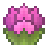 Charm of Wild Growth