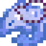 Charm of Cetacea