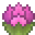 Charm of Wild Growth